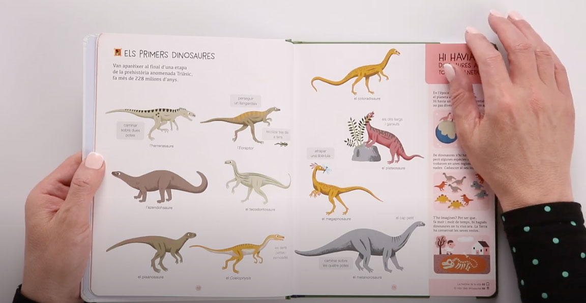 Els dinosaures. Col·lecció Biblioteca per a Ments Curioses