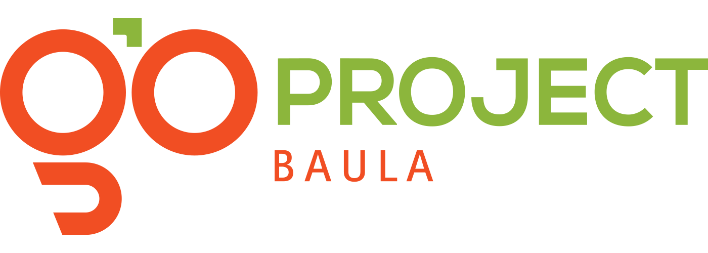 Go Project Baula