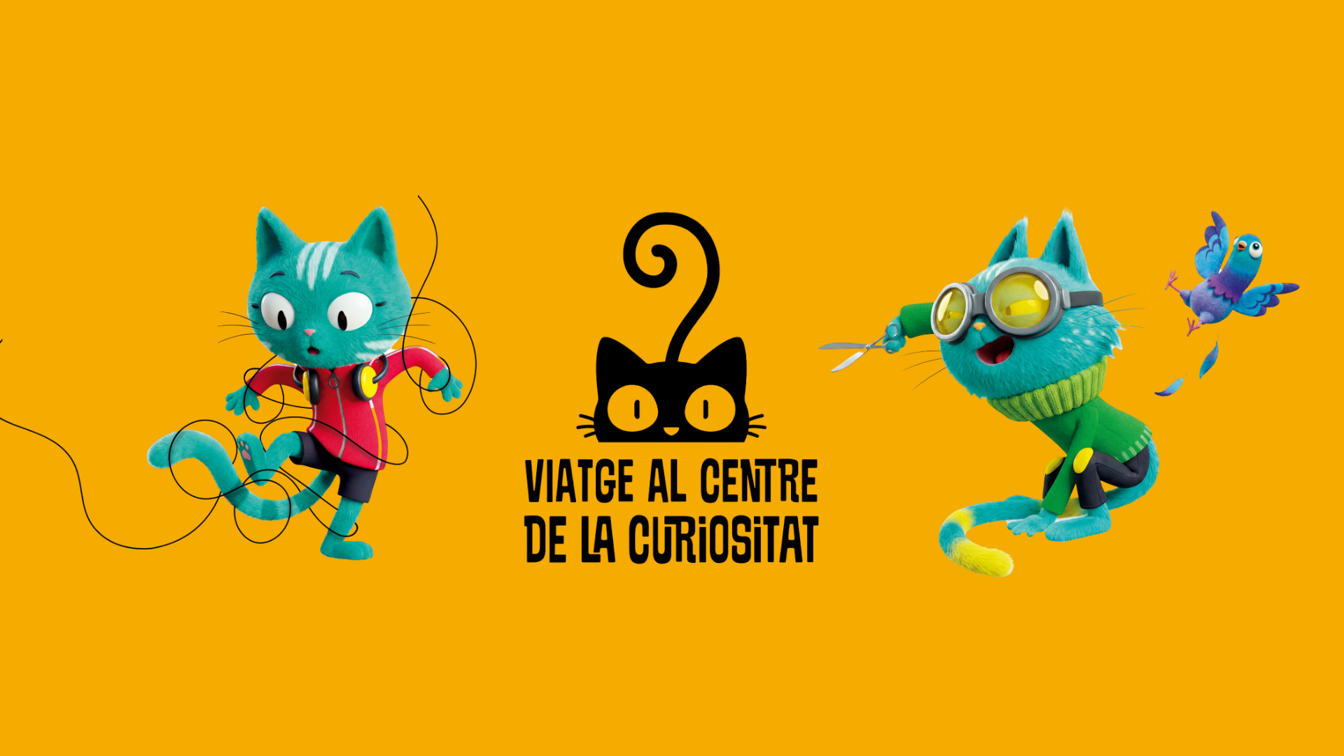 Baula VCC