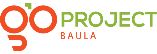 Go project Baula